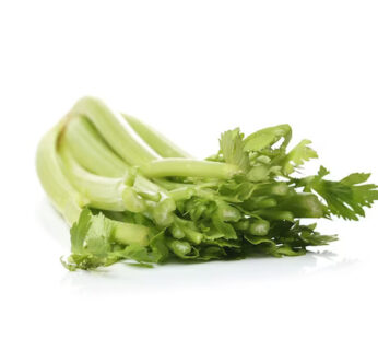 Celery