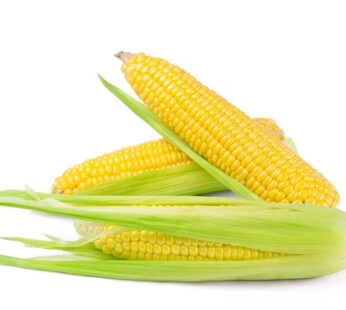 Corn on the Cob