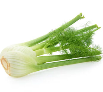 Fennel