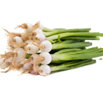 Spring Onions