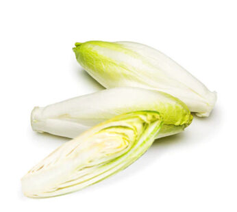 Chicory