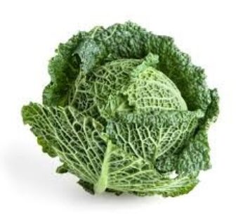 Savoy Cabbage