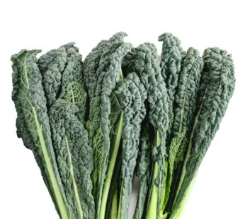 Cavolo Nero