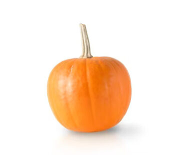 Pumpkin