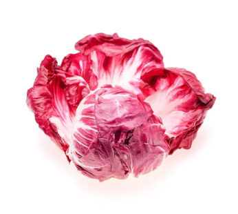 Cabbage Red white