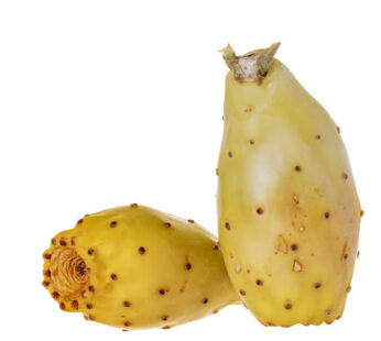 Prickly Pear