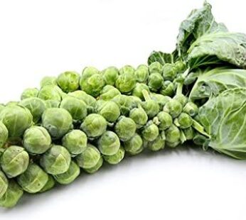 Brussel Sprouts on Stalks