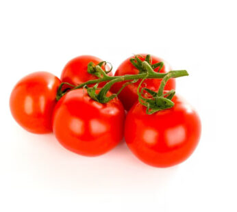 Vine Tomatoes